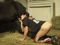[ Animal Sex Movie ] Slim wife kneels to suck horse&#039;s big cock in sloppy manners